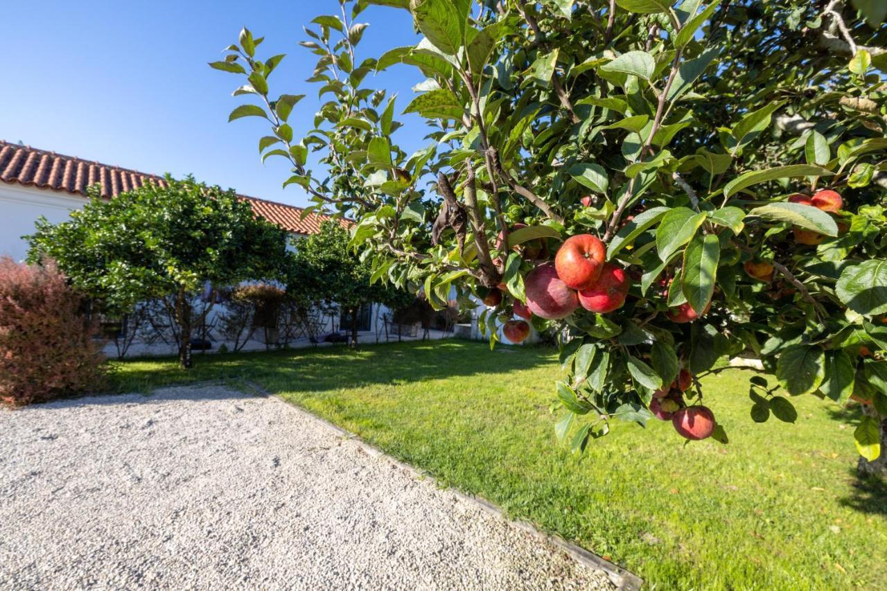 Casa Da Lagoa E Forja - Turismo Rural Mira  Dış mekan fotoğraf